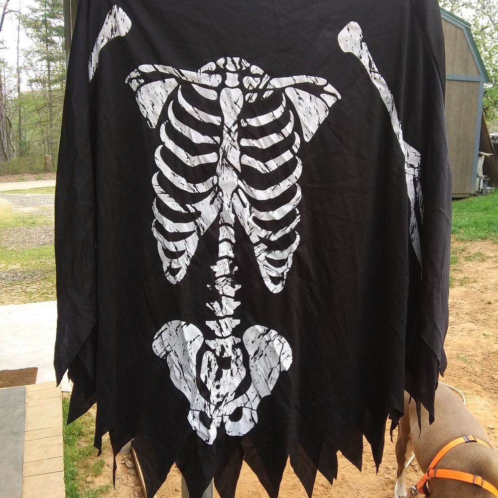Halloween costume